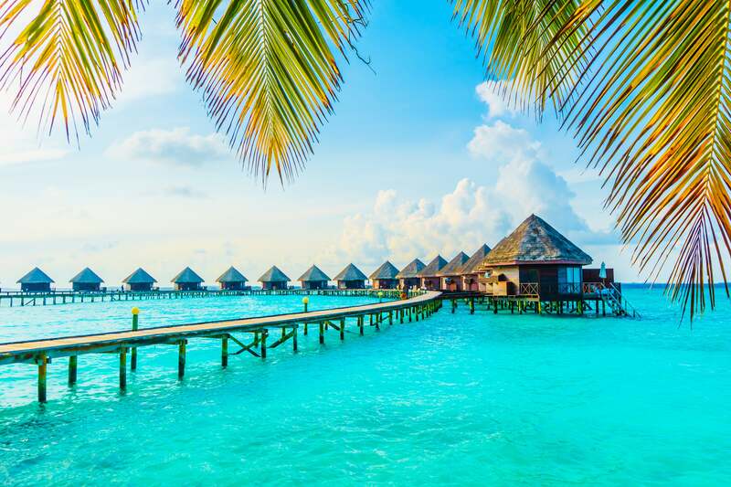 tropical bungalows over the ocean 